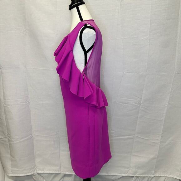 Diane von Furstenberg Pink Ruffle Dress - Size 8 - Picture 4 of 15